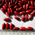 2015 Crop British Red Kidney Bean